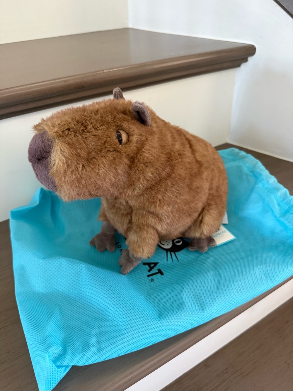 *NWT* Jellycat Clyde Capybara